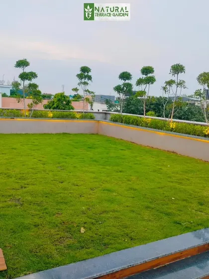 The beautifully manicured lawn and planters in the New Friends Colony terrace garden. The planters are uplit to highlight the trees at night.