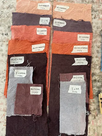 A beautiful palette of red, pink, and purple swatches from student dyeing experiments. These tests help students understand how different mordants and dyes interact.