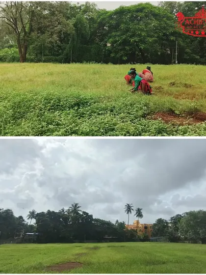 A before-and-after look at our ground preparation. We take pride in our facilities and the hard work that goes into maintaining them.