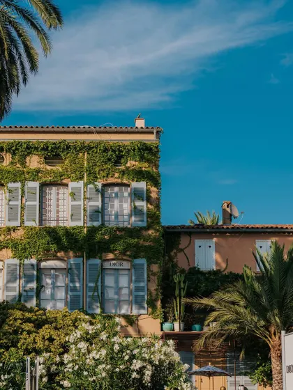 An ivy-covered building with classic blue shutters in St. Tropez. This kind of shot evokes a sense of timeless European charm and is perfect for destination marketing.
