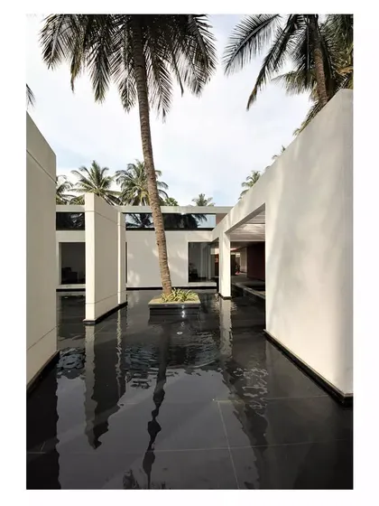 A serene water court at the Akriti Experience Centre, where a preserved palm tree rises from the reflective surface. The design uses a series of freestanding walls to guide visitors through a journey of discovery, with water acting as a calming, central element.