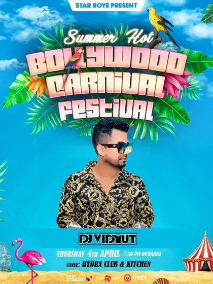 A solo promotional poster for the Bollywood Carnival Festival, highlighting my role as a featured DJ for the event.