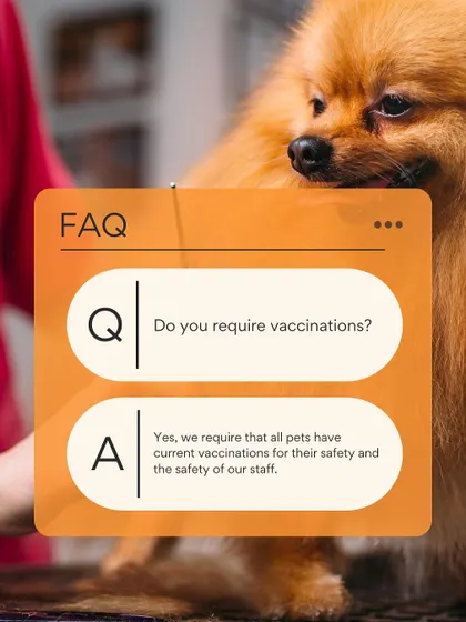 Your pet's safety is my priority. This is why I require all pets to be up-to-date on their vaccinations before a grooming session.