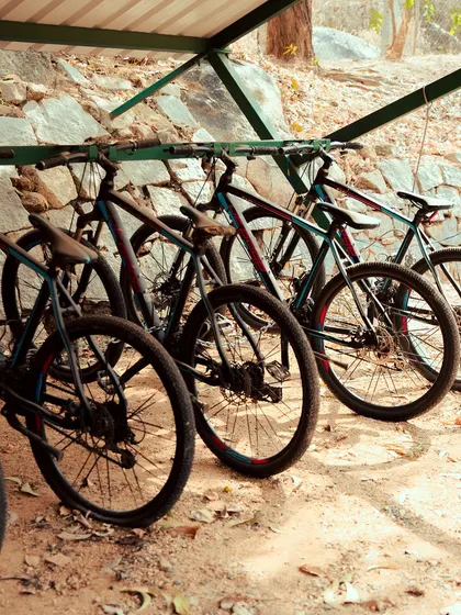 A row of bicycles stands ready for adventure. Exploring our property on two wheels is a great way to discover quiet spots and scenic paths.