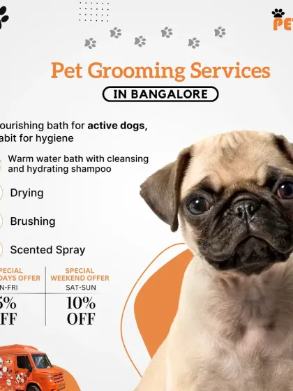 This graphic details my weekday and weekend offers alongside the services included in a nourishing bath package for a cute pug.