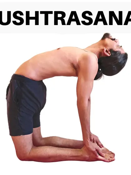 Ushtrasana, or Camel Pose, is a deep backbend performed on the knees. It stretches the entire front of the body and is excellent for relieving back and neck pain from slouching.