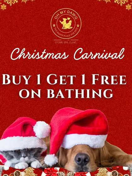 During our Christmas Carnival, I'm running a special buy one, get one free offer on bathing services. It's the perfect time to get your pets sparkling clean for the holidays.