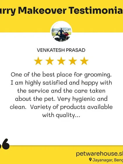Another happy customer from Jayanagar, Venkatesh Prasad, calls us one of the best places for grooming due to our service, care, and hygiene.