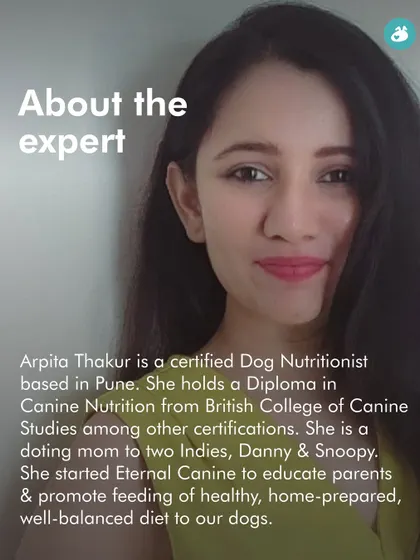 Learn from Arpita, a certified Dog Nutritionist from the British College of Canine Studies. Her expertise is central to our nutrition classes, where she educates parents on preparing healthy, balanced meals for their dogs.