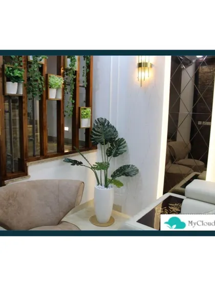 My work also extends to indoor plant styling. Here, I used a wooden partition with built-in shelves for potted plants and a large Monstera to bring the feeling of a lush garden into the living room.