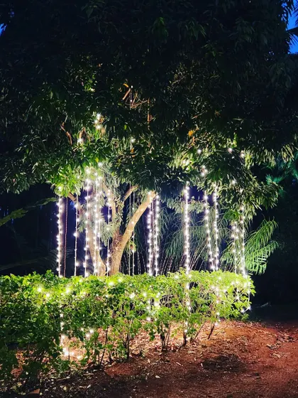 Even a single tree can become a beautiful decor element. Here, we wrapped a tree with vertical strands of fairy lights, creating a weeping willow effect that added a touch of magic to the garden setting.