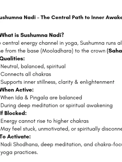 Sushumna Nadi is the central path to inner awakening. It runs along the spine, connecting all chakras. When Ida and Pingala are balanced, energy flows through Sushumna, leading to clarity and enlightenment.