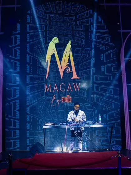The venue's logo, Macaw by Stories, integrated into my visual set. I can customize the on-screen content to include event or venue branding.