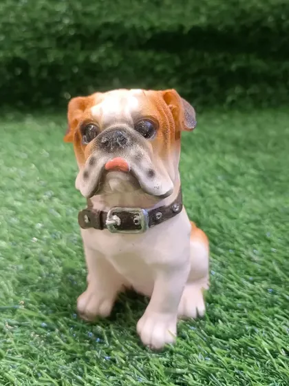 A tiny and adorable bulldog figurine. This small showpiece is perfect for decorating a desk, shelf, or any small nook that needs a touch of cuteness.