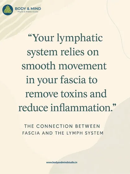 Your lymphatic system, which removes toxins and reduces inflammation, relies on smooth movement in your fascia. This is why mobility and stretching are integral parts of my therapeutic approach.