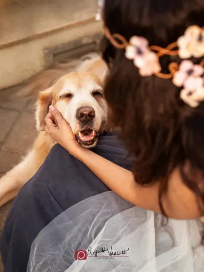 A close-up of Ally getting some love from her mom. The joy on a senior dog's face is something truly special to capture.