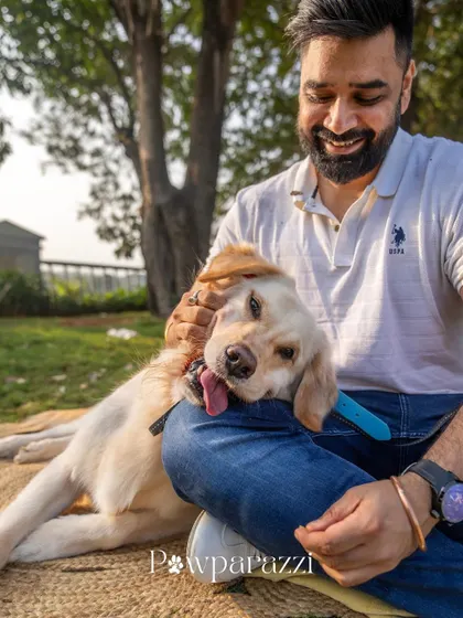 A candid shot of Muffin the Golden Retriever getting some love from his dad. The genuine affection in this moment is beautiful.