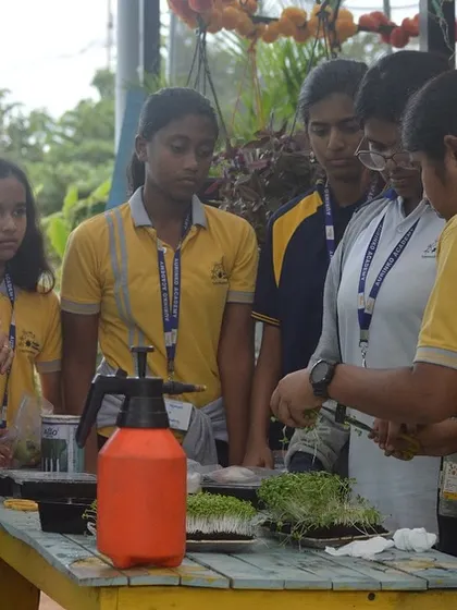 A lesson in microgreens. Our team demonstrates how these tiny but mighty greens are grown, showing students how easy it is to cultivate nutritious food even in small spaces.