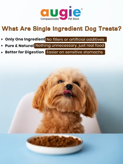 What are single-ingredient dog treats? It's simple: they contain only one ingredient, with no fillers or artificial additives. This makes them pure, natural, and much easier on sensitive stomachs.
