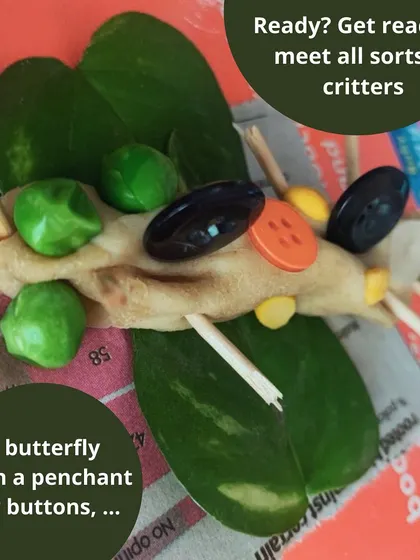 This collection showcases the wonderful variety of our process art and craft projects. Each image represents a different activity, complete with instructions and examples of the unique creations our children have made.