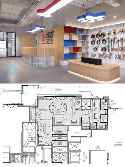 This image pairs a render of the CGS pet hospital interior with its architectural floor plan. It shows the thoughtful space planning required to create a functional, safe, and efficient environment for veterinary care.