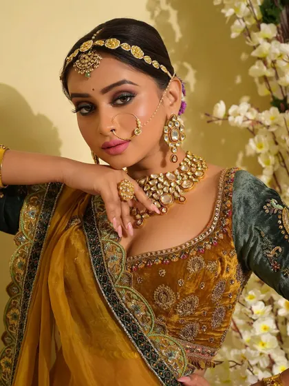 A captivating close-up that draws attention to the eyes. The soft, kohl-rimmed look and defined brows frame the face beautifully, creating a look that is both traditional and alluring.