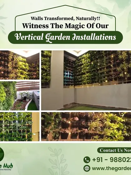 Witness the magic of our vertical garden installations. This collage shows several of our completed projects, highlighting how we transform walls with natural, living art.