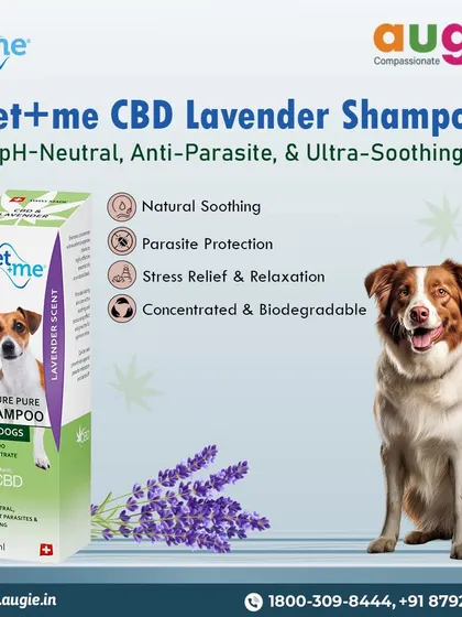 For an ultra-soothing bath, we offer the Pet+me CBD Lavender Shampoo. It's pH-neutral, offers natural parasite protection, and provides stress relief and relaxation, all in a biodegradable formula.