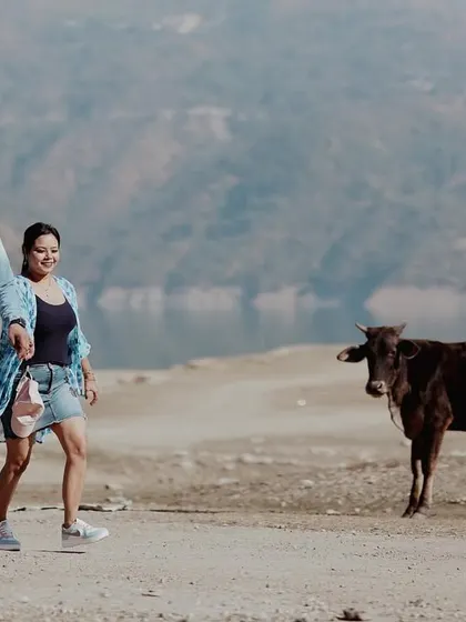 A candid and slightly humorous moment as a couple walks past a cow. These unexpected, real-life moments often make for the most memorable photos.