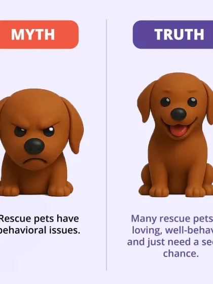 Myth: Rescue pets have behavioral issues. Truth: Many rescue pets are loving, well-behaved animals that just need a second chance at a happy home.