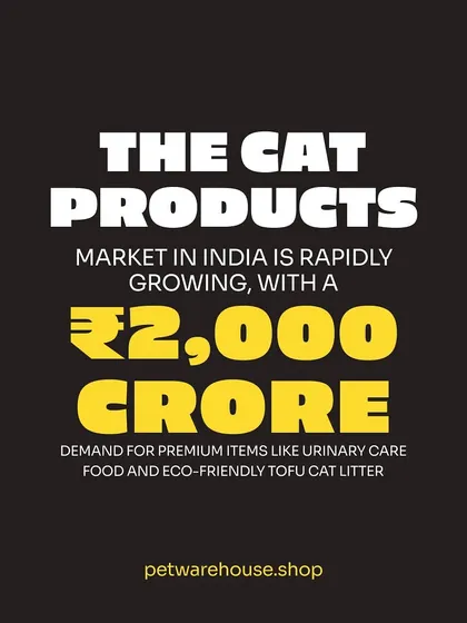 The cat products market in India is growing rapidly. We are committed to meeting this demand by stocking premium items like urinary care food and eco-friendly cat litter.