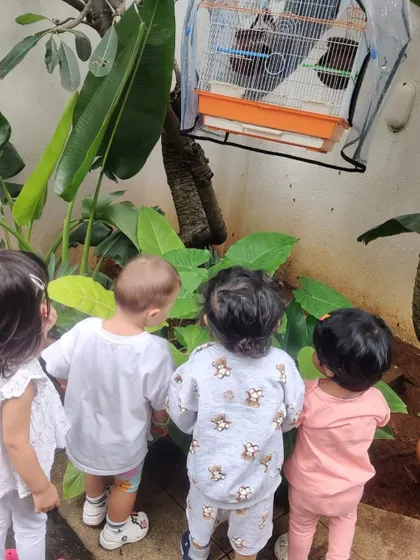 The children observe a bird in a cage in a neighbor's garden, learning about pets and how to care for them.