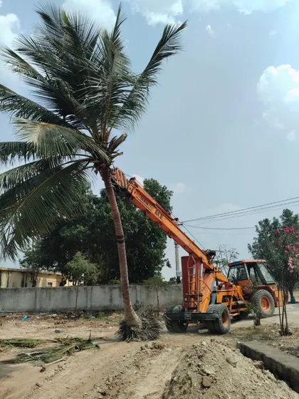 A tall coconut tree, complete with its root ball, is transported across a site by an ACE crane. We handle trees of significant height for large-scale landscaping projects.
