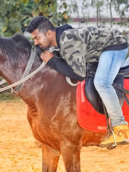 This is what trust looks like. A relaxed moment with one of my horses shows the comfort and confidence that comes from a relationship built on positive training methods, never fear. This is the kind of partnership I help my clients build with their own horses.