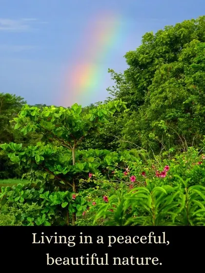 Living in beautiful, peaceful nature is a core part of the experience here. A rainbow over our medicinal forest is a frequent and welcome sight.