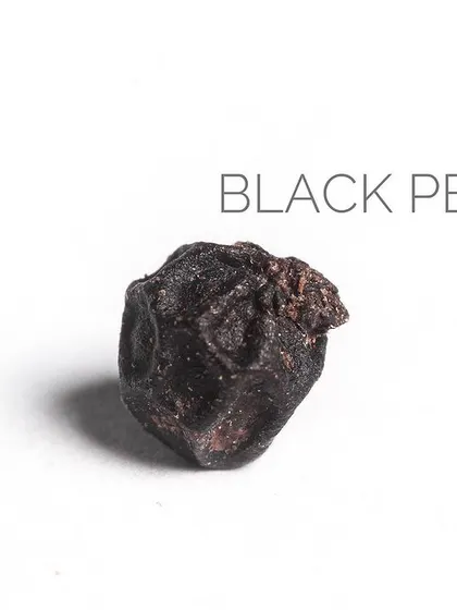 A single black peppercorn, the spice that once changed the course of world history.