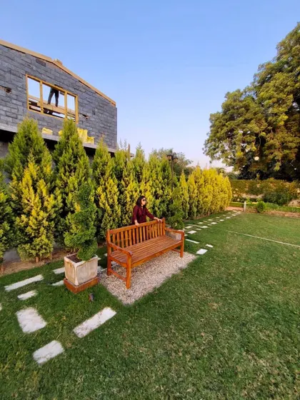 A panoramic view of a farmhouse garden with a wooden bench placed against a wall of golden cypress trees. The stepping stone path adds a rustic charm to the manicured lawn.