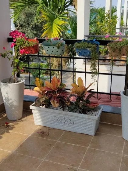 This simple yet elegant balcony design uses a mix of planter styles and sizes, including classic white pots and a trough planter. The arrangement provides a variety of textures and colors from different plants and flowers.