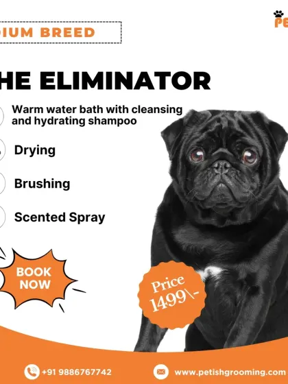 For medium breeds, "The Eliminator" package is priced at ₹1499. It's a comprehensive de-shedding treatment that reduces loose fur and promotes a healthy coat.