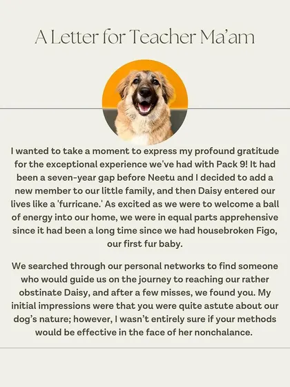 The beginning of a heartfelt letter from Daisy's family, sharing their journey and initial apprehension.