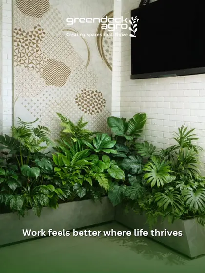 Work simply feels better where life thrives. This dense, multi-layered planter bed with various ferns and broadleaf plants brings a piece of the rainforest into the office, set against a modern, artistic wall.