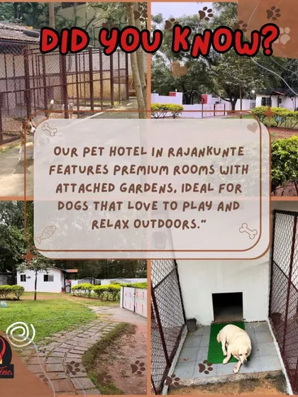 Our pet hotel in Rajanukunte is designed for dogs who love the outdoors. With premium rooms featuring attached private gardens, your pet gets their own slice of paradise to play and relax in.
