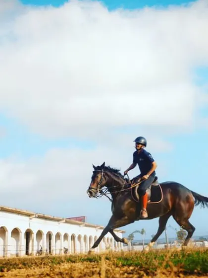 A rider cantering along the stable line on a beautiful day. Proper flatwork is the foundation of successful jumping.