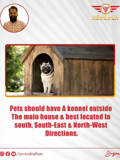 Pets should have a kennel outside the main house, ideally located in the South, South-East, or North-West directions.