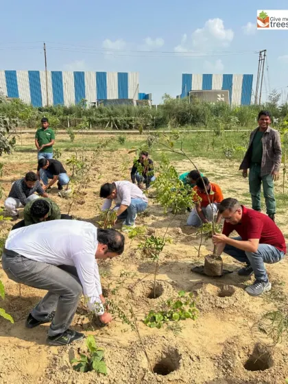 A wide shot of the EXL team at work. It shows the scale of our volunteer drives and the collective effort involved in planting a new forest.