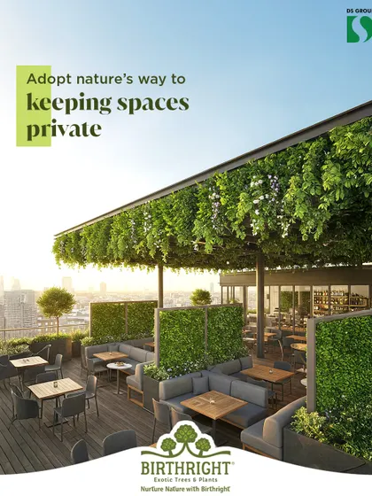 For this rooftop restaurant, we used lush greenery to create natural, living screens. This approach provides privacy and intimacy for diners without sacrificing the open air atmosphere, blending functional design with a vibrant, natural aesthetic.