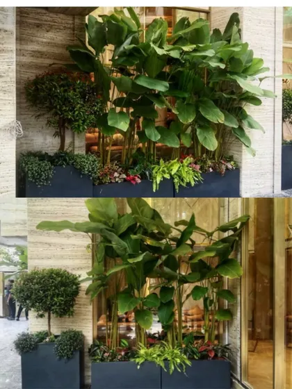 A gorgeous green setup at one of our recent sites. This layered arrangement in large modern planters creates a lush, private screen and a beautiful exterior view.