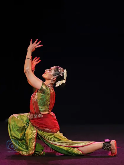 A strong, angular pose demonstrating the dynamic energy of Bharatanatyam.