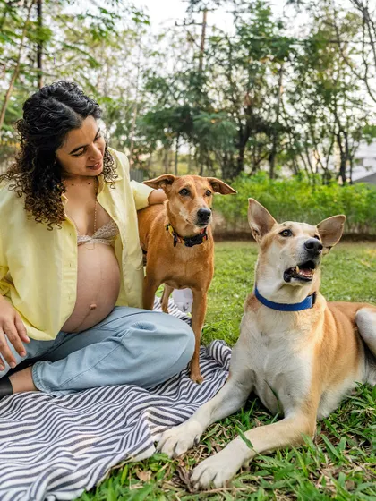 A relaxed outdoor maternity shoot with an expecting mother and her two beautiful indie dogs sitting on a blanket in a park.