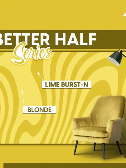 My "Better Half" and "Know the Colour" series explore unique color pairings and deep dives into specific shades. Let these ideas inspire you to create a truly unique and harmonious color story in your home.
